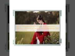 AUO G190EAN01.6 19 Inch LCD Panel High Resolution 1280*1024 HD Industrial Outdoor Use High Brightness 1000 Nits LVDS LCM